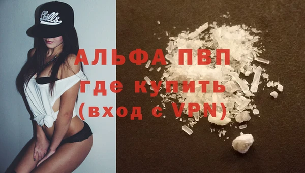 крисы Зерноград