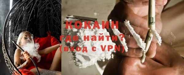 винт Инта
