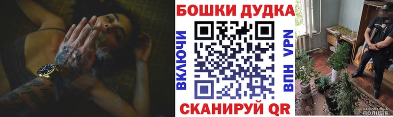 Купить закладки  Зерноград  Конопля индика 
